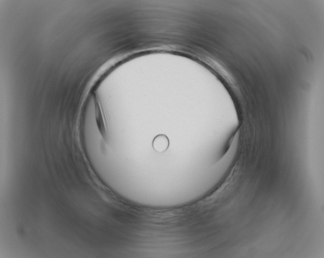 X0000113251332200910221113