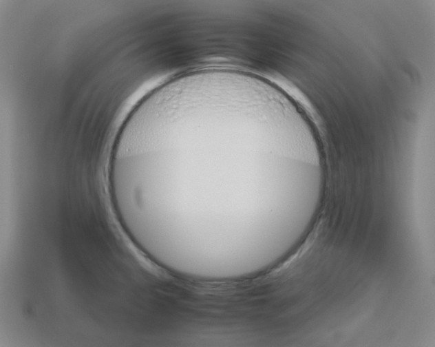 X0000113251333200910221113