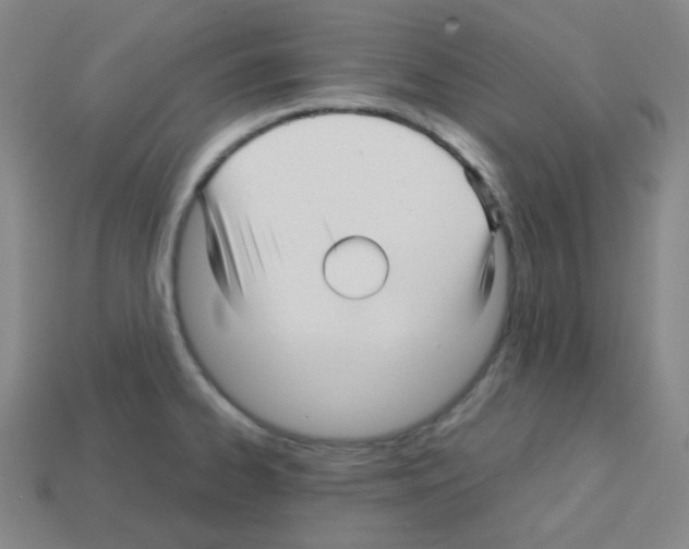 X0000113251334200910221113