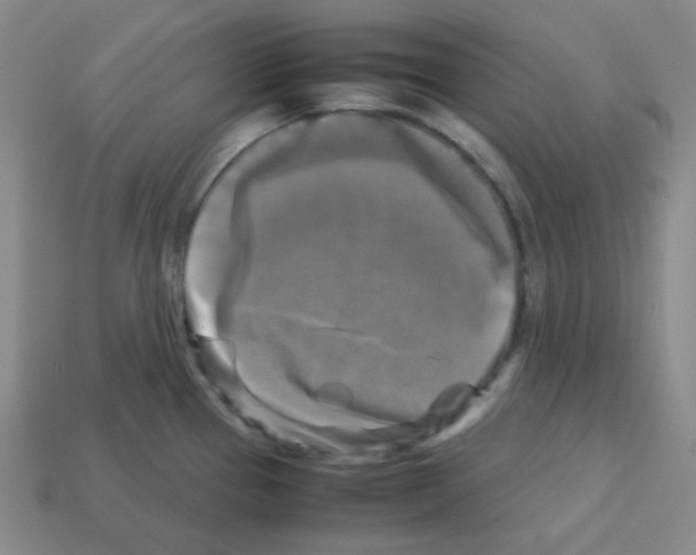 X0000113251337200910221113