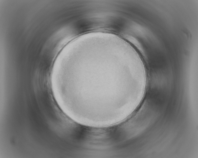 X0000113251338200910221113