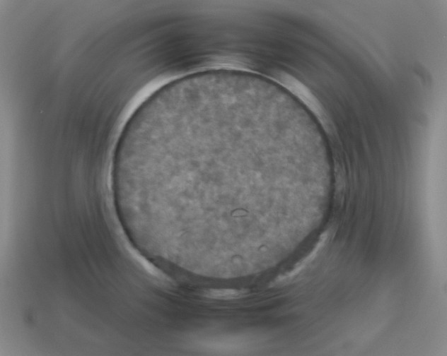 X0000113251339200910221113