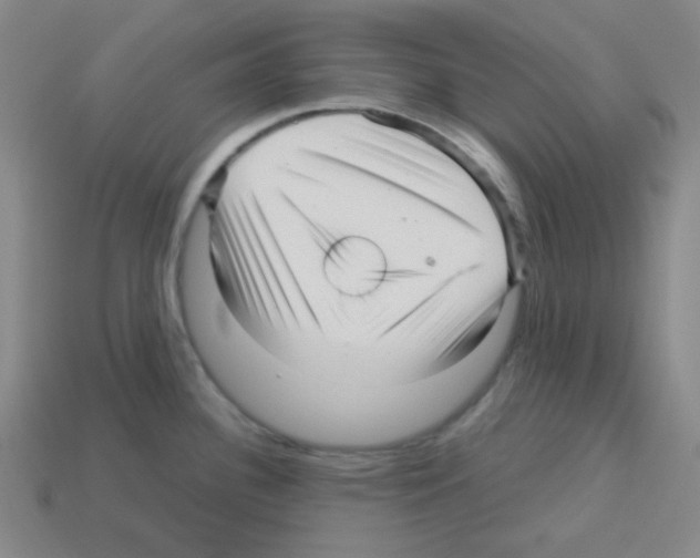 X0000113251340200910221113