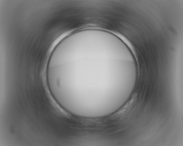 X0000113251341200910221113