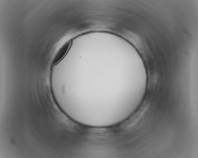 X0000113251342200910221113