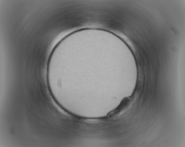 X0000113251343200910221113