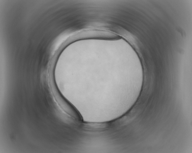 X0000113251344200910221113