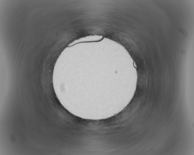 X0000113251345200910221113