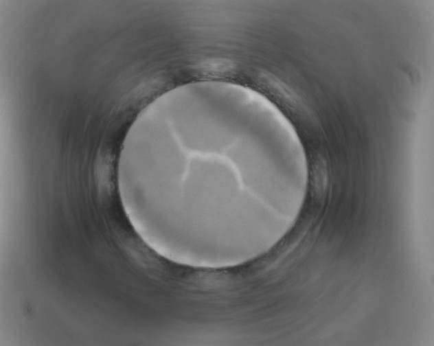 X0000113251346200910221113