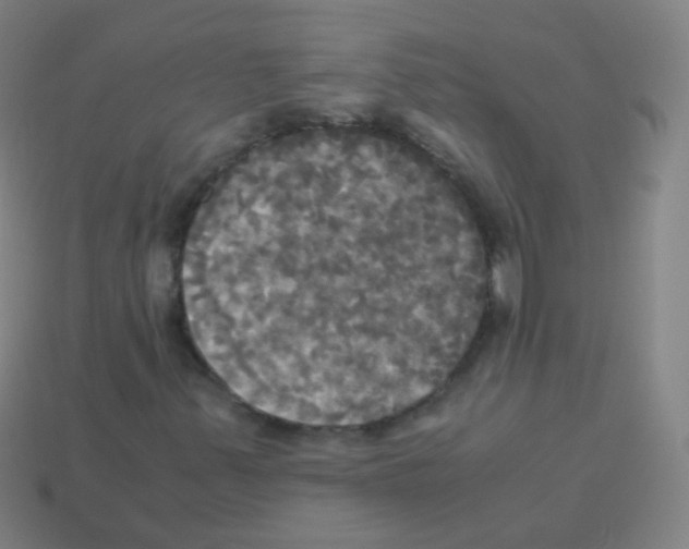 X0000113251347200910221113