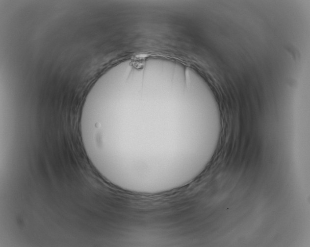 X0000113251348200910221113