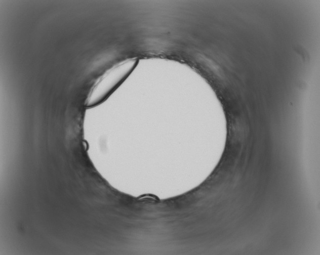 X0000113251349200910221113