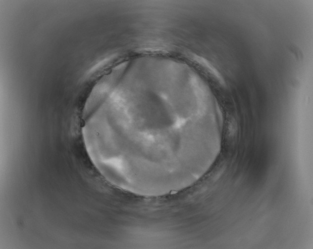 X0000113251350200910221113