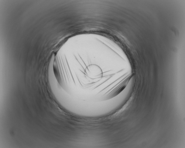 X0000113251353200910221112