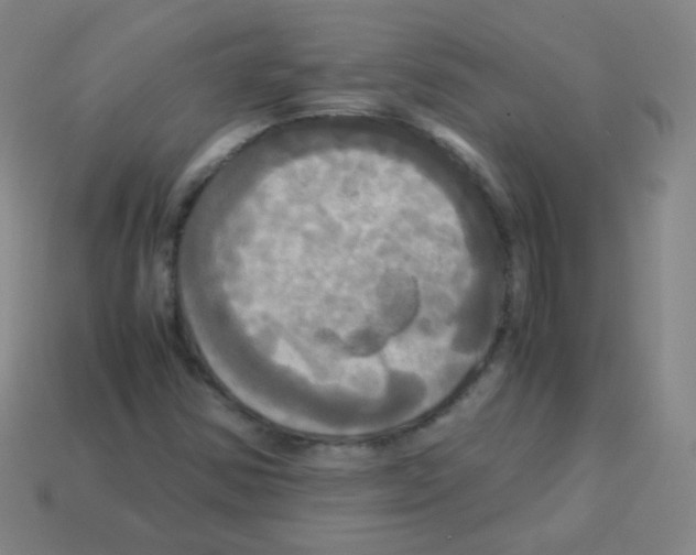 X0000113251354200910221112