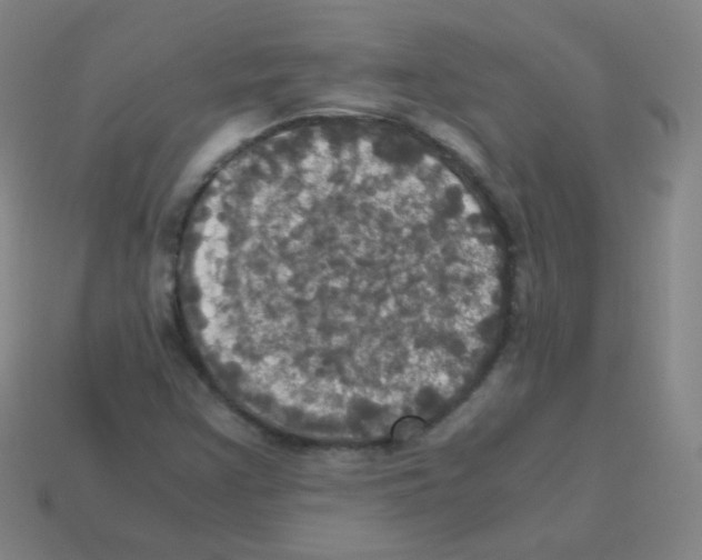 X0000113251355200910221112