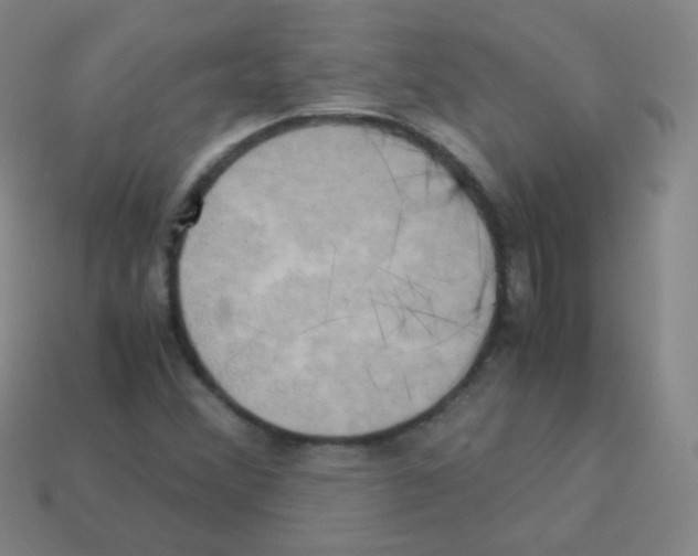 X0000113251356200910221112