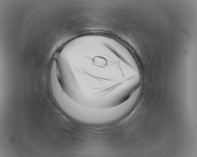 X0000113251357200910221112