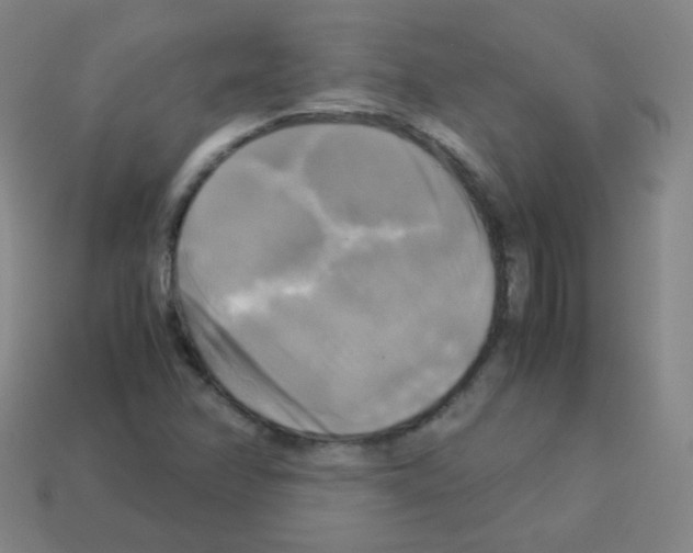 X0000113251358200910221112