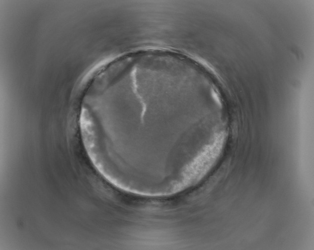 X0000113251359200910221112