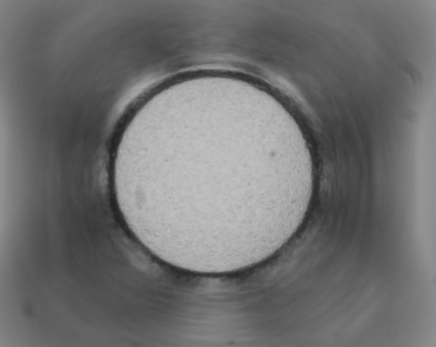 X0000113251360200910221112