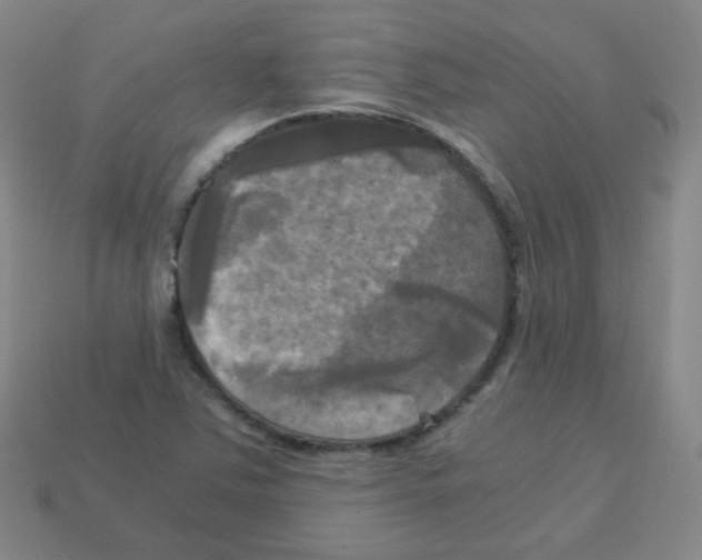 X0000113251363200910221112