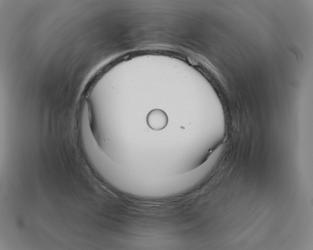 X0000113251364200910221112