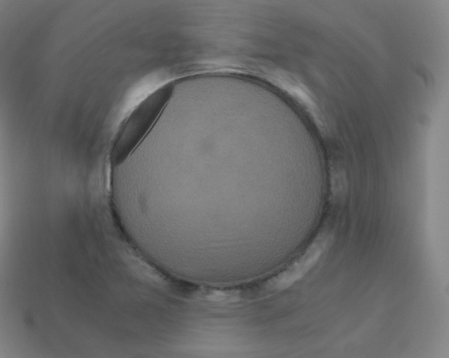 X0000113251365200910221112