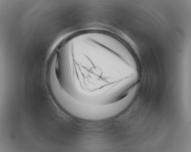 X0000113251368200910221112