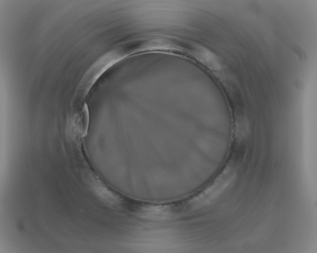 X0000113251369200910221112