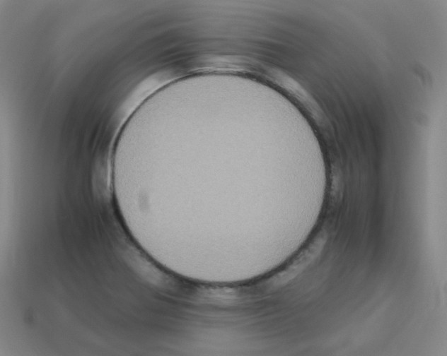 X0000113251370200910221112