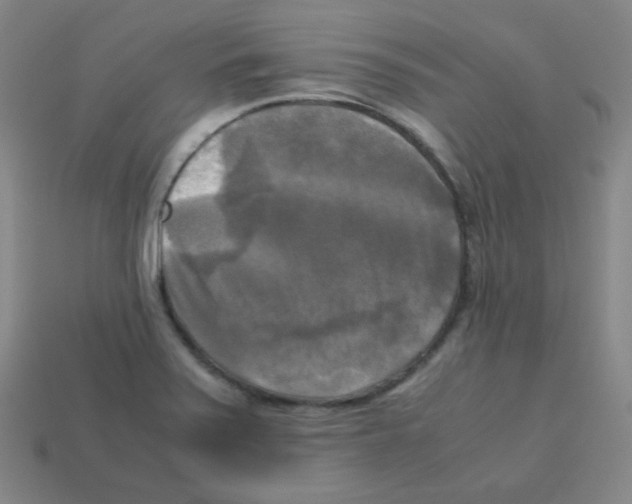 X0000113251371200910221112