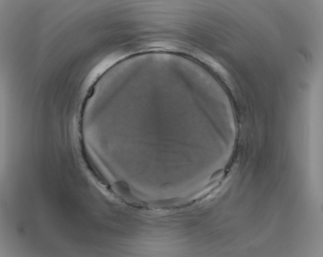 X0000113251373200910221112