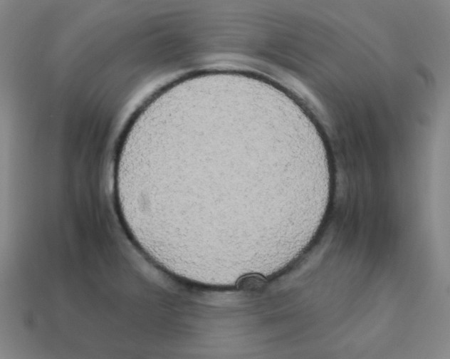 X0000113251376200910221112