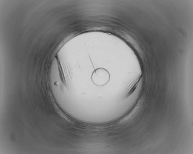 X0000113251377200910221112