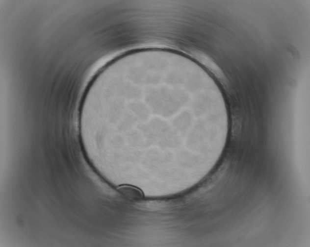 X0000113251380200910221112