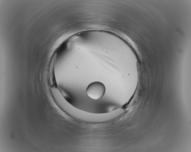 X0000113251381200910221112