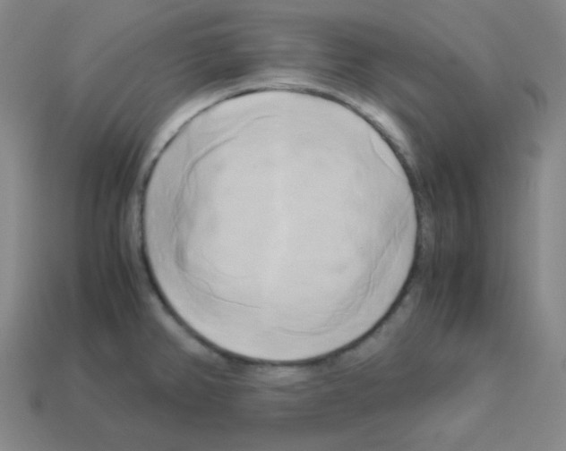 X0000113251382200910221112