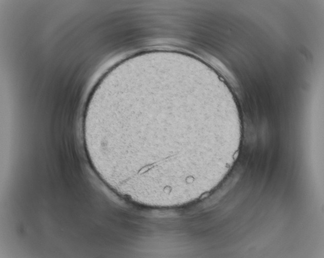 X0000113251384200910221112