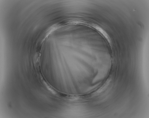 X0000113251385200910221112