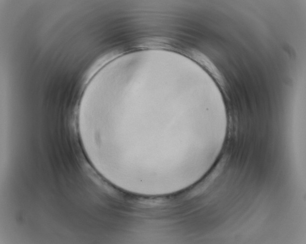 X0000113251386200910221112