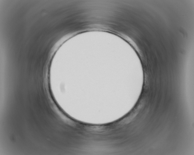 X0000113251387200910221112