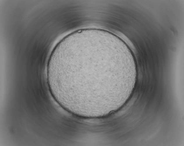 X0000113251388200910221112