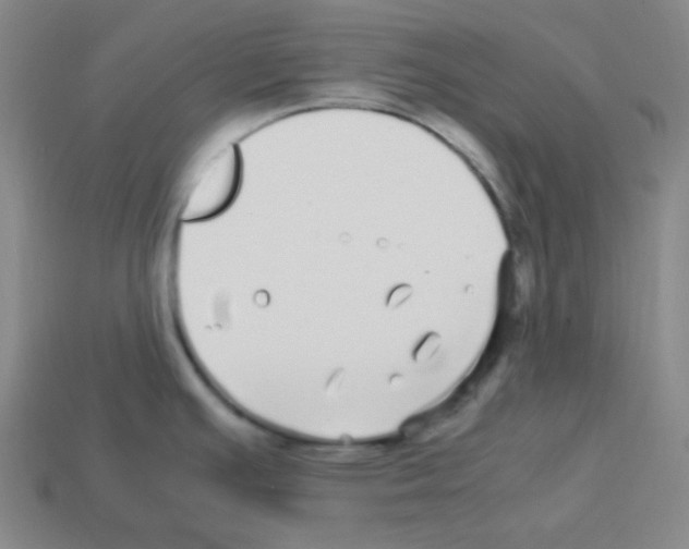 X0000113251391200910221112