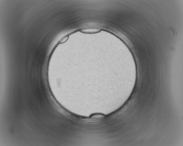 X0000113251392200910221112