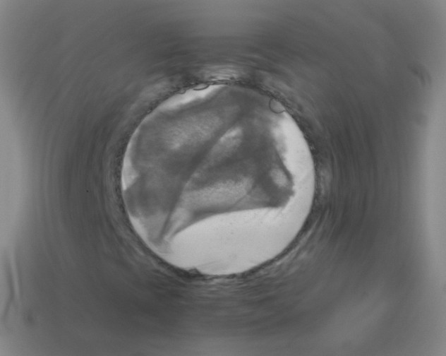 X0000113251393200910221111