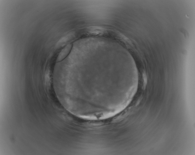 X0000113251394200910221111