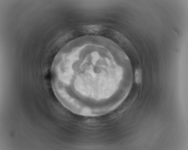 X0000113251395200910221111