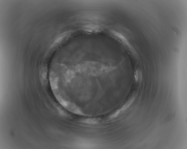 X0000113251396200910221111