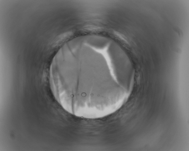 X0000113251397200910221111